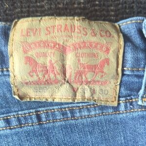 Levi Strauss & Co. Blue Jeans